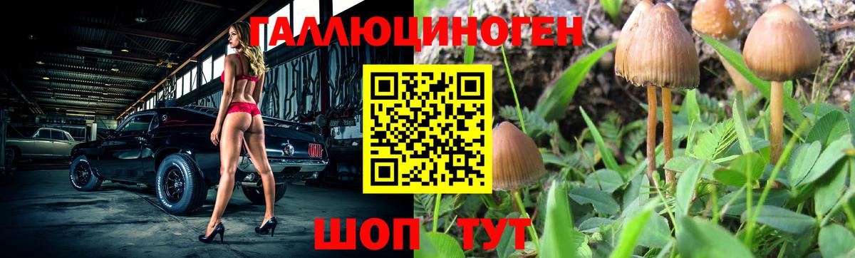 Галлюциногенные грибы MAGIC MUSHROOMS  Галлюциногенные грибы Cubensis  Россошь  Вход с VPN 