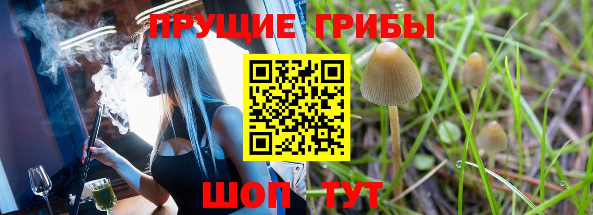 Псилоцибиновые грибы Magic Shrooms Россошь